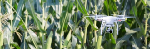 Quadcopter drone flying over a cultivated field
