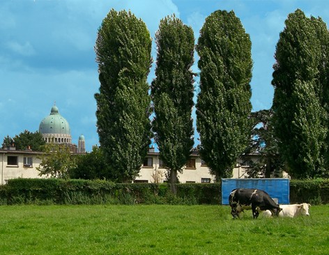 Zavelenberg