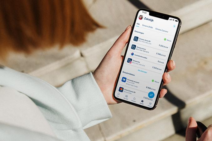 Avec le compte professionnel multidevises, vous évitez les frais de change cachés. Faites le change 24/7 aux cours du marché en temps réel et effectuez gratuitement des virements internationaux en devises étrangères.