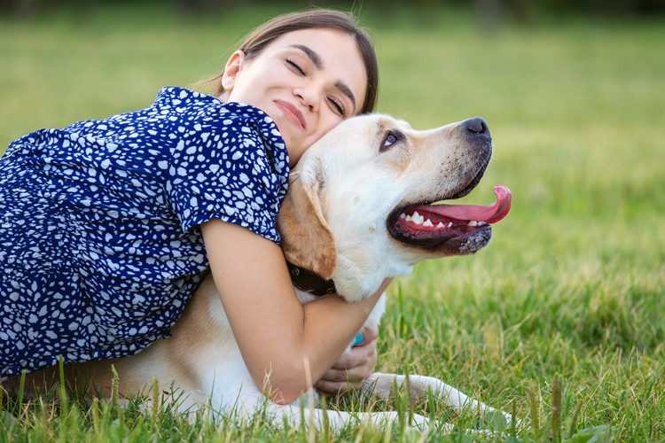 Should you insure your dog? Find out why it&#39;s worthwhile.