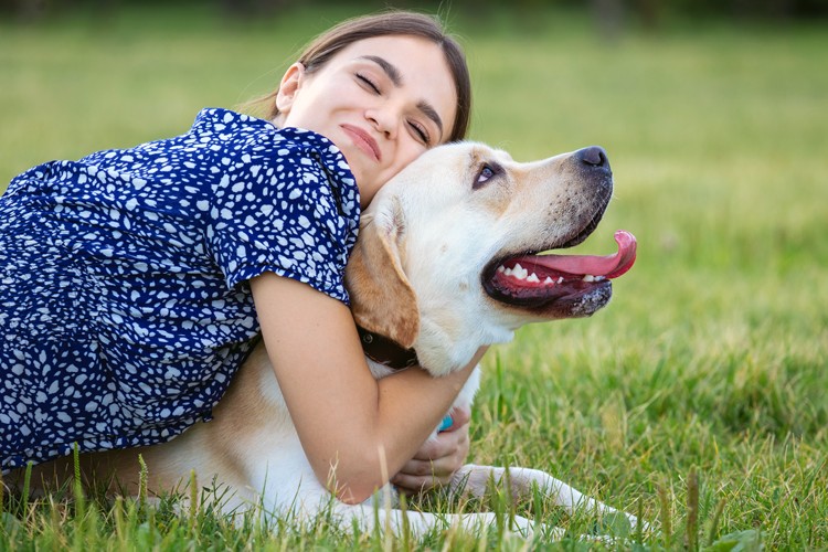 Assurer son chien ou non pourquoi cela vaut la peine