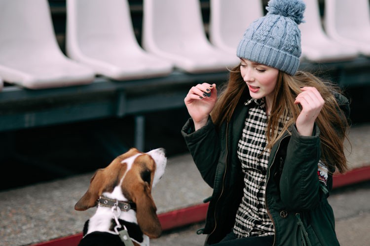 Legal assistance cover under your family insurance KBC