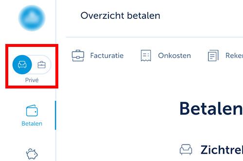 Switch in het menu links naar 'Zakelijk' om de berichten en documenten van je zaak te zien.