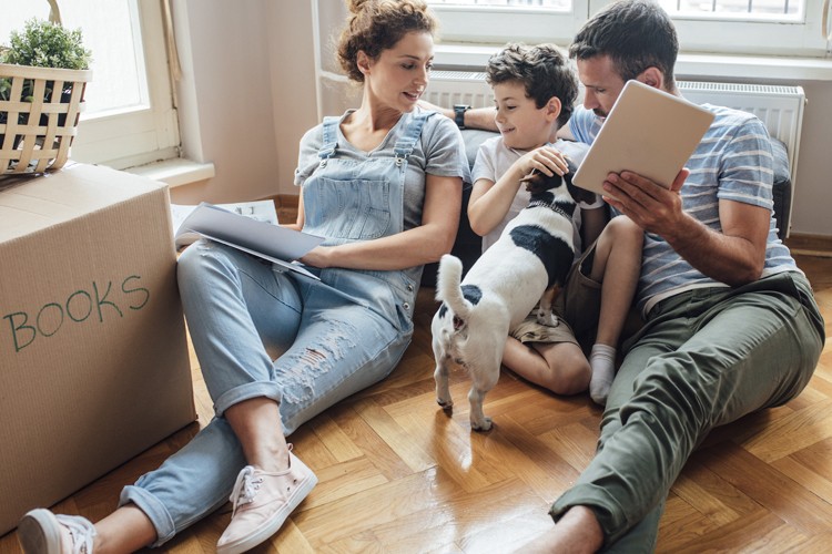 Family insurance cover for your dog