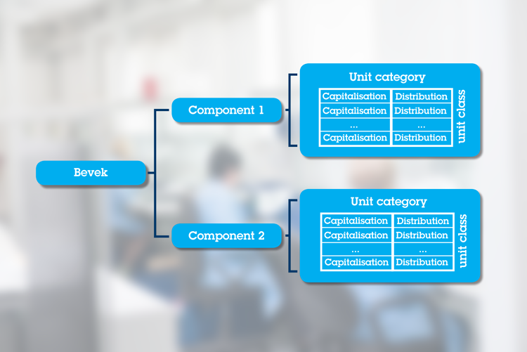 What is a BEVEK/SICAV? KBC Brussels Bank & Insurance