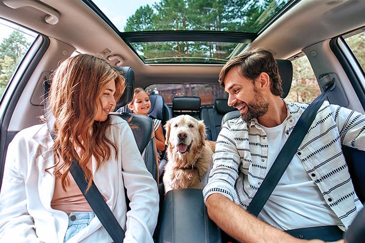family traveling together with dog in car